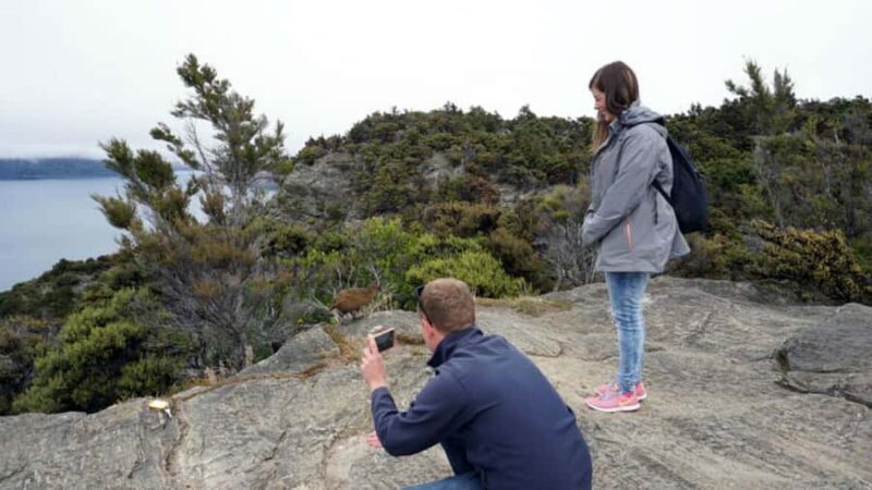 Mou Waho Island: 3-Hour Cruise and Guided Nature Walk - FAQ