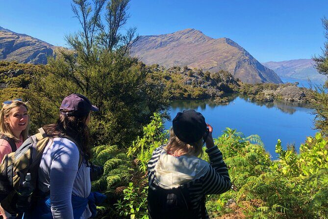 Mou Waho Island Cruise & Self-Guided Nature Walk - Practical Considerations and Tips
