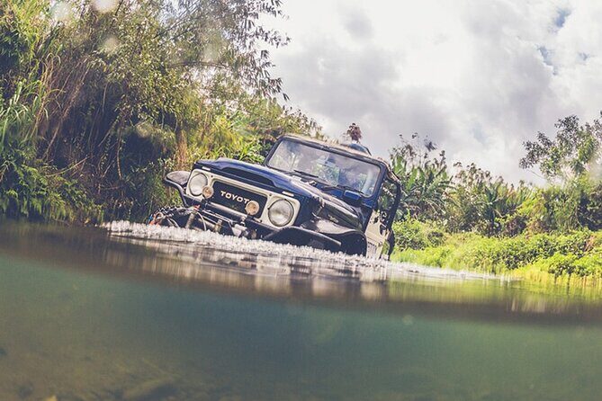 Mount Batur Black Lava Jeep Tour with Pickup - The Value of the Black Lava Jeep Tour