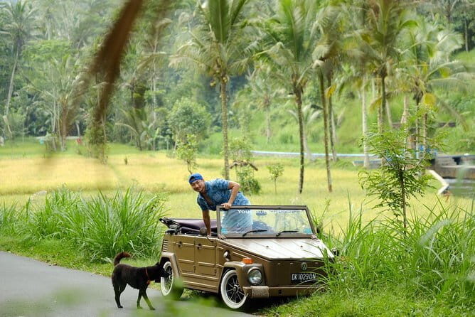 Mount Batur Jeep and Hot Spring Tour - Who Will Love This Tour?