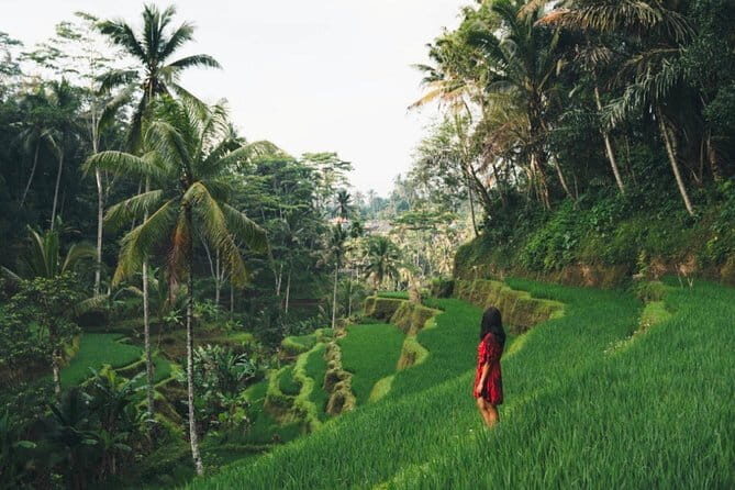 Mount Batur Sunrise Hike and Hot Spring Tour All inclusive - FAQs