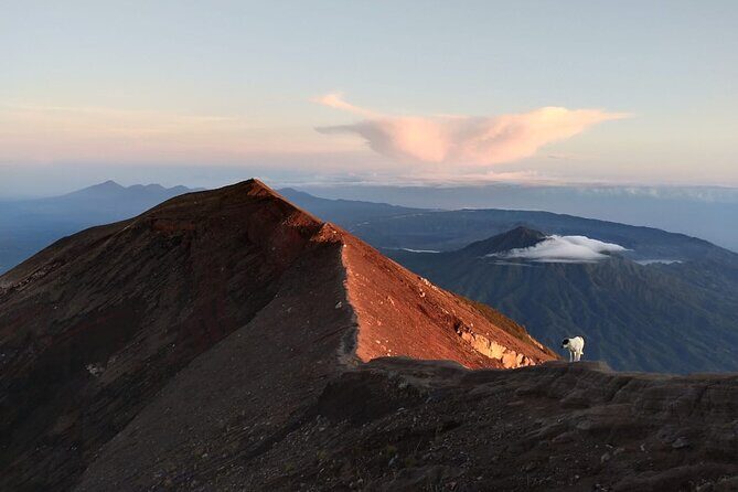 Mount Batur Sunrise Trekking, Hot Springs & Lunch at Restaurant - Final Thoughts: Who Will Love This Tour?