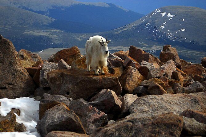 Mount Blue Sky, Clear Creek Canyon & Red Rocks Park (Mount Evans) - Who Should Consider This Tour?