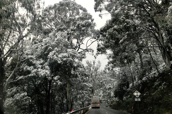 Mount Buller 1 Day Guided Tour - The Sum Up: Is This Tour Worth It?