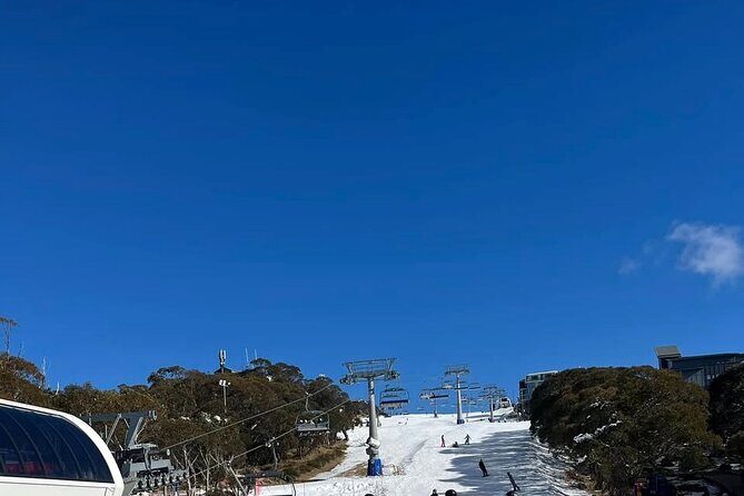 Mount Buller, Mount Hotham, Falls Creek Best Private Snow Tours - A Closer Look at the Tour Experience