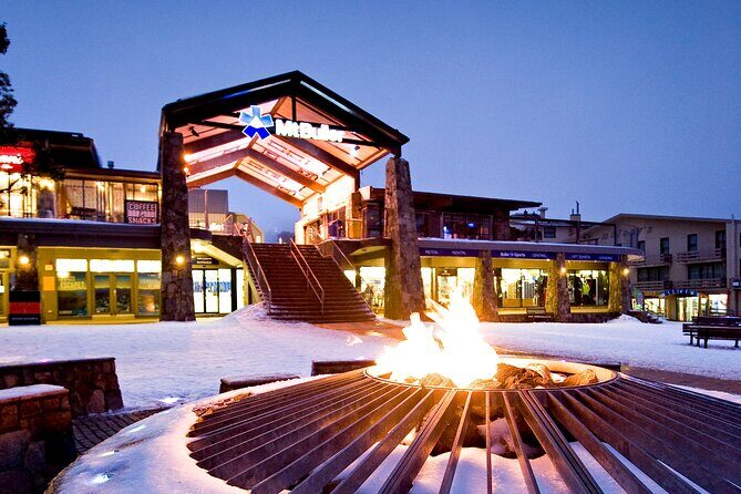 Mount Buller Sightseeing Tour - The Practical Side: Transportation, Pricing, and Group Size