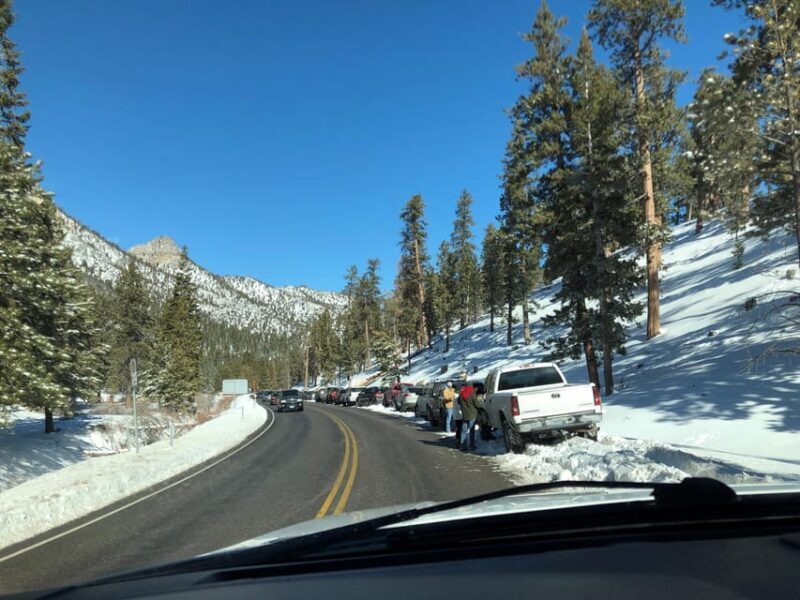 Mount Charleston Driving Adventure: Escape to Nature - Exploring Mount Charleston