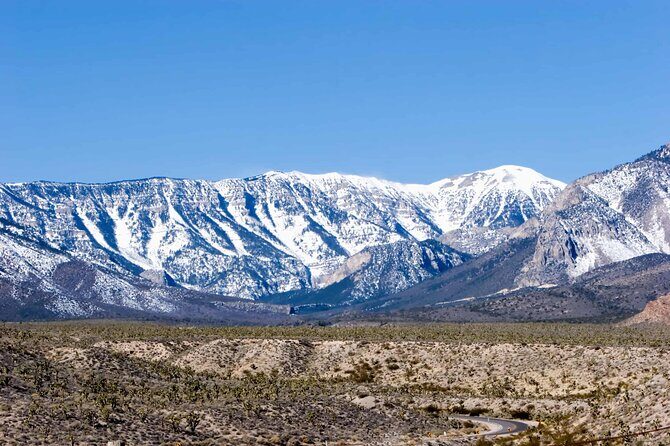 Mount Charleston Tour - What to Expect on the Mount Charleston Tour