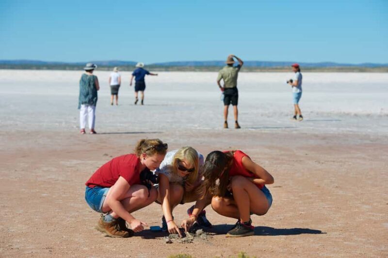 Mount Conner 4WD Small Group Tour from Ayers Rock - An Introduction to the Experience