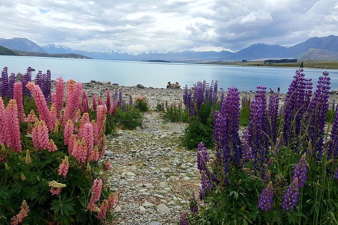 Mount Cook, Lake Tekapo and Tasman Glacier Tour from Christchurch - FAQ
