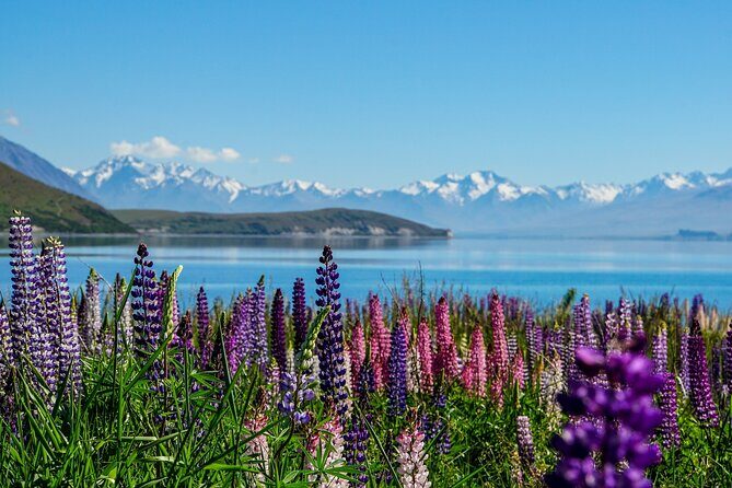 Mount Cook Scenic 35 Minute Helicopter Flight - Who Should Consider This Tour?