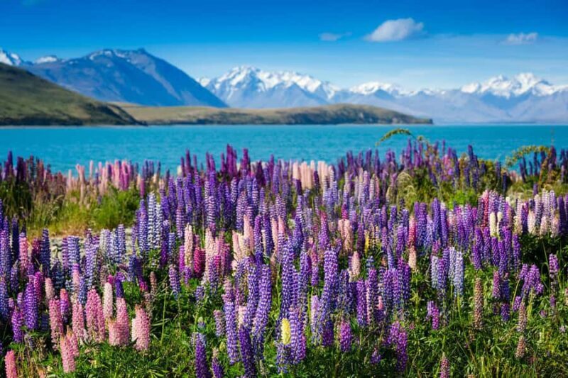 Mount Cook to Queenstown Day Tour - Key Points