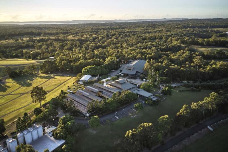 Mount Cotton: Sirromet Winery Tour with Tasting and Lunch - The Sum Up