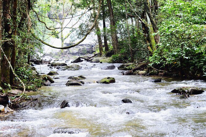 Mount Doi Inthanon National Park Sunrise and Hiking - An In-Depth Look at the Tour Experience