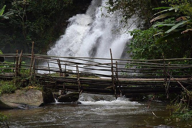 Mount Doi Inthanon National Park Sunrise and Hiking - Who Should Book This Tour?
