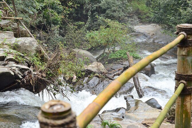 Mount Doi Inthanon National Park Sunrise and Hiking - The Sum Up