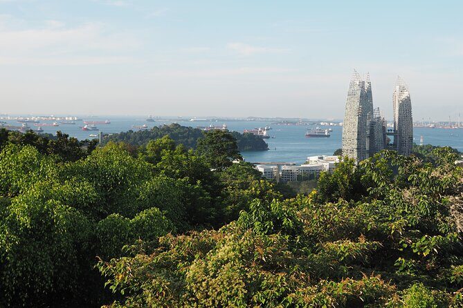 Mount Faber, Henderson Waves and Southern Ridges Tour - Discovering the Southern Ridges: A Practical Overview