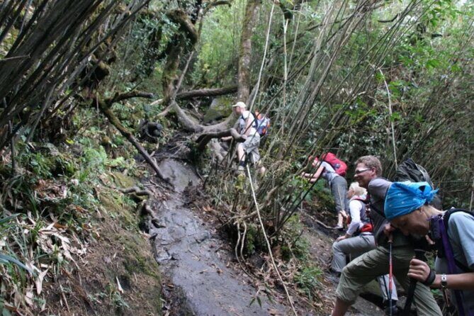 Mount Fansipan 2 Days Trek Roof of Indochina - Final Thoughts