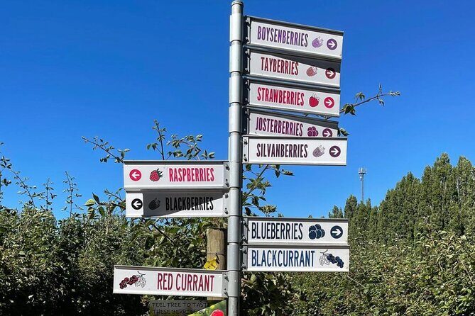 Mount Field And The Derwent Tasting Trail - An In-Depth Look at the Tour Experience
