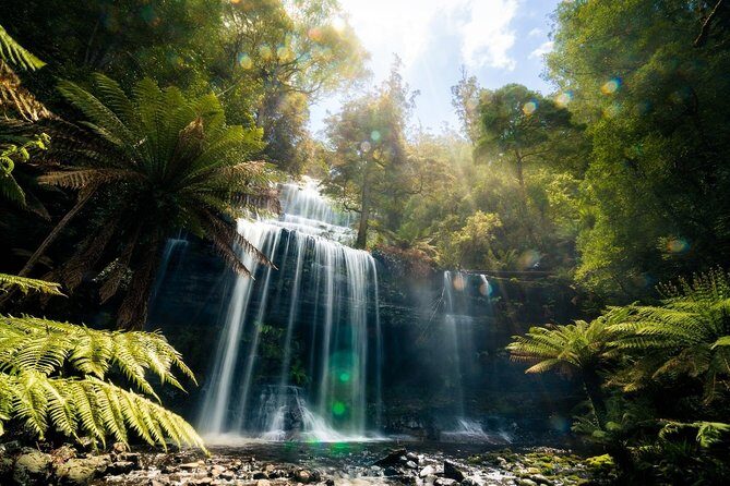 Mount Field Day Tour Private Charter Service ( 3 days in advance - Key Points