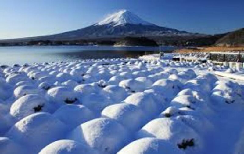Mount Fuji and Hakone Day tour with English speaking Drivers - Who Is This Tour Best Suited For?