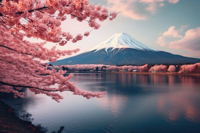 Mount fuji and Hakone Full day private sightseeing tour - An In-Depth Look at the Tour