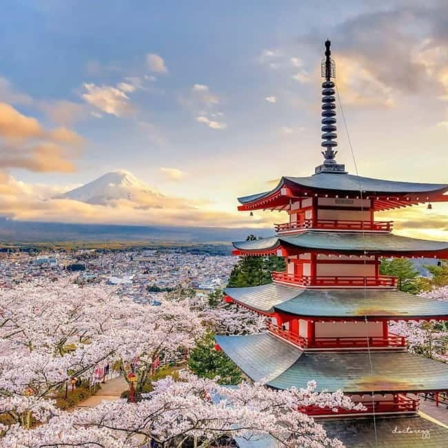 Mount fuji and Hakone full day private tour with English gui - Transport and Comfort