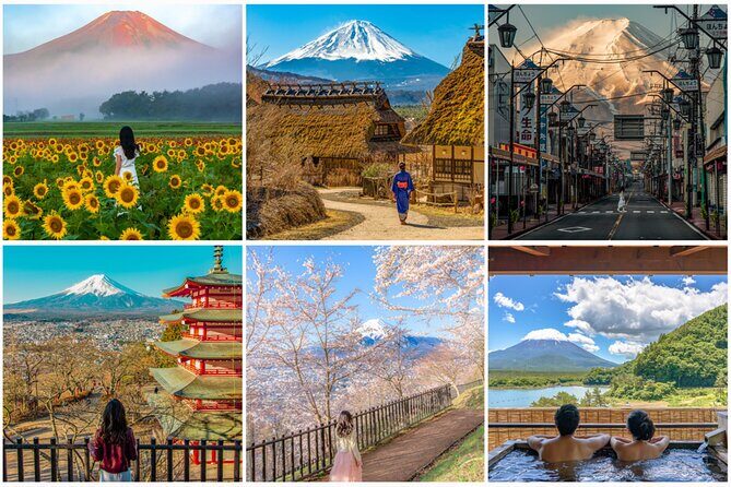 Mount Fuji And Hakone Private Customized English Tour with pickup - An In-Depth Look at the Tour Experience