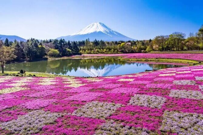 Mount Fuji and Hakone Private Tour by Car with Pickup from Tokyo - Key Points