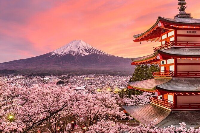 Mount Fuji and Hakone Private Tour by Car with Pickup from Tokyo - The Journey Begins: What to Expect and Why It Matters