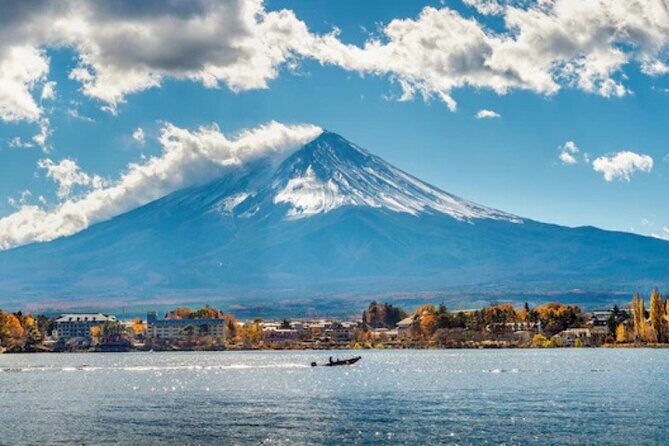 Mount Fuji and Hakone Private Tour by Car with Pickup from Tokyo - Who Will Love This Tour?