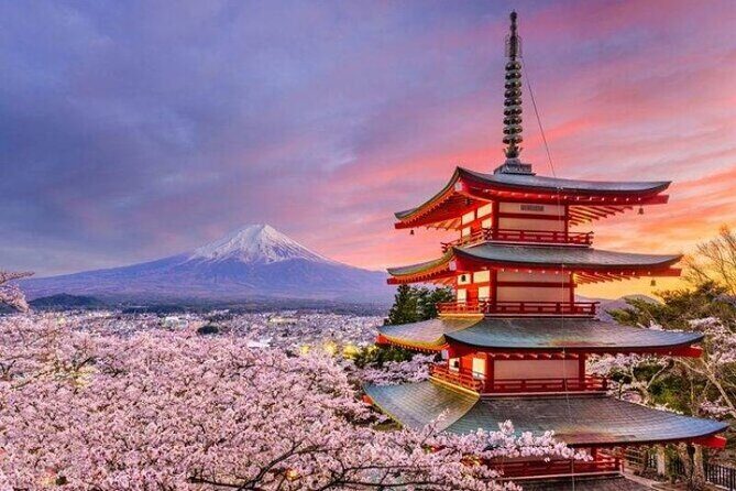 Mount Fuji and Hakone Private Tour by Car with Pickup from Tokyo - FAQs