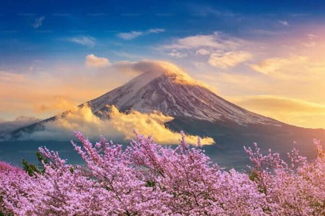 Mount Fuji and Hakone Private Tour with Pickup from Tokyo - FAQs
