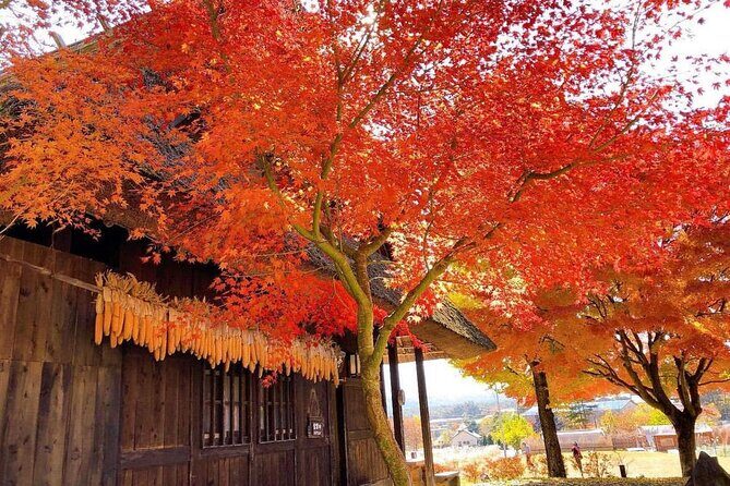 Mount Fuji and Iconic Scenic Spots Day Tour - Exploring the Itinerary: What You’ll Experience
