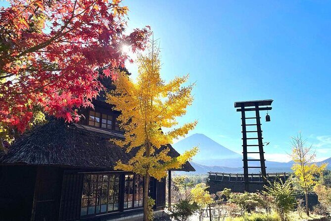 Mount Fuji and Iconic Scenic Spots Day Tour - Final Thoughts: Who Will Love This Tour?