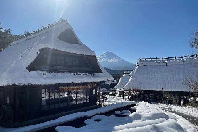 Mount Fuji and Iconic Scenic Spots Day Tour - Final Words