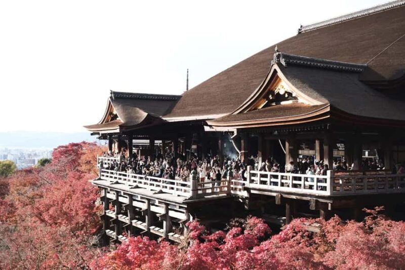 Mount Fuji Customize Private Tour with English Driver - Final Thoughts