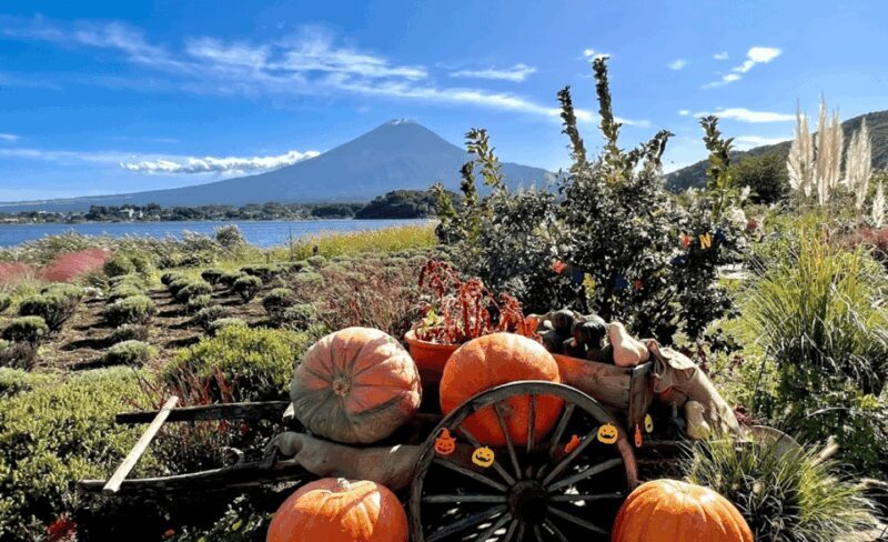 Mount Fuji Customized Tour with English Speaking Guide - Oshino Hakkai: Crystals in the Ponds