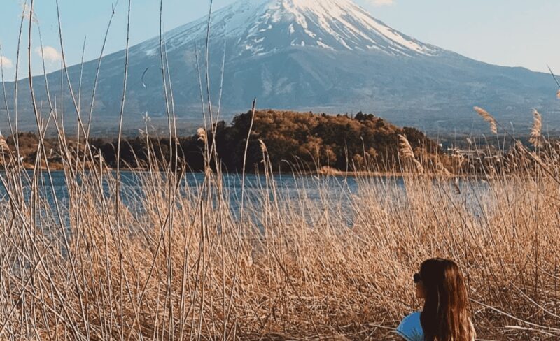 Mount Fuji Customized Tour with English Speaking Guide - Return Journey and Drop-offs
