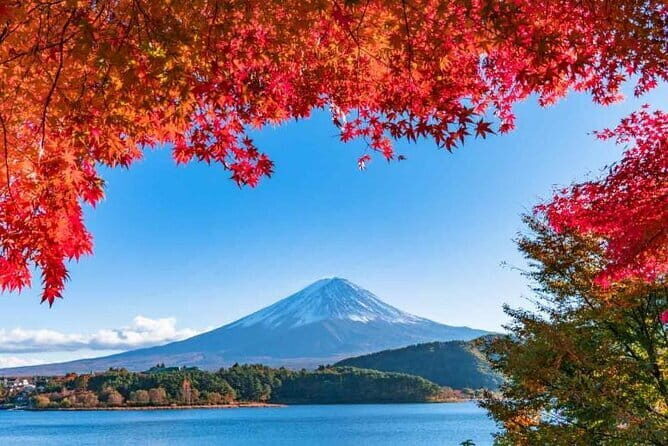 Mount Fuji Day Tour by Chartered Car - Key Points