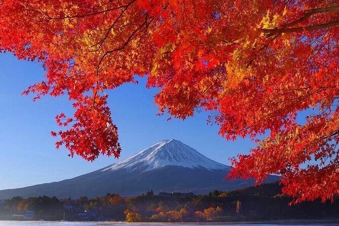 Mount Fuji Day tour licensed plates vehicles with english driver - FAQ