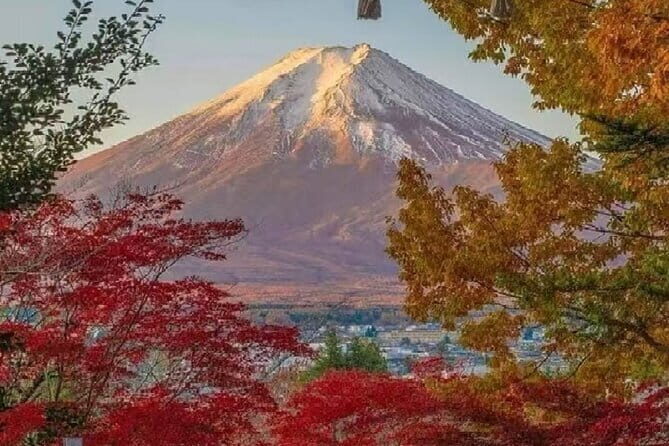 Mount Fuji Day Tour:Scenic Lakes,Village, Pagoda,Oshino Hakkai - What to Expect from the Mount Fuji Day Tour