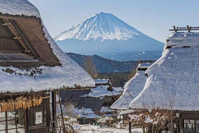 Mount Fuji Day Tour:Scenic Lakes,Village, Pagoda,Oshino Hakkai - Authentic Experiences and Traveler Feedback