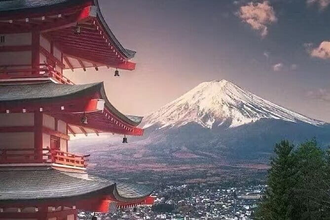 Mount Fuji Day Tour:Scenic Lakes,Village, Pagoda,Oshino Hakkai - Who Should Consider This Tour?