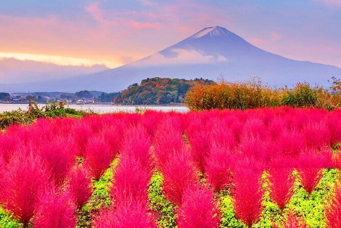 Mount Fuji Day Trip from Tokyo with Scenic Views - The Itinerary in Detail