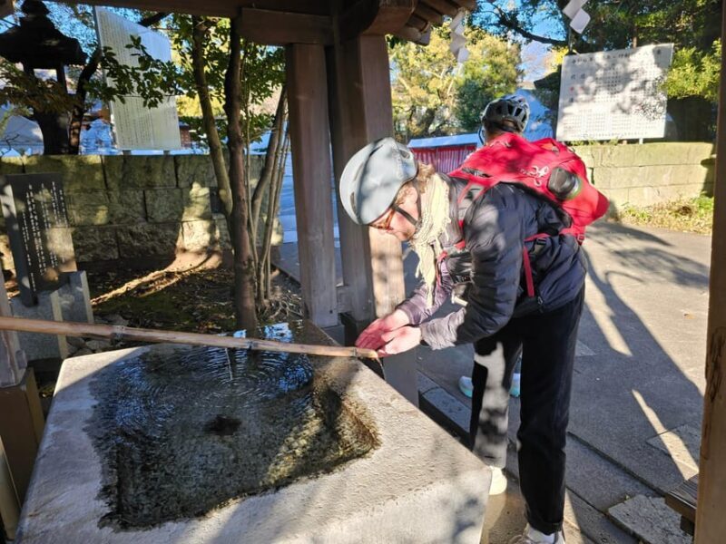 Mount Fuji E-Bike Tour: Explore Nature and History - The Sum Up: Who’s It Best For?