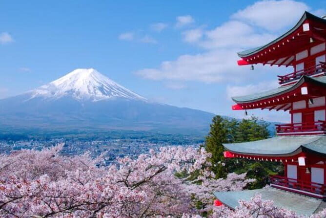 Mount Fuji Full Day Customizable Private Tour with English Guide - The Value of the Private Tour Experience