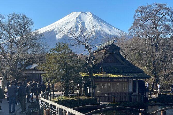 Mount Fuji Full Day Customize Private Tour with English Guide - A Closer Look at the Itinerary