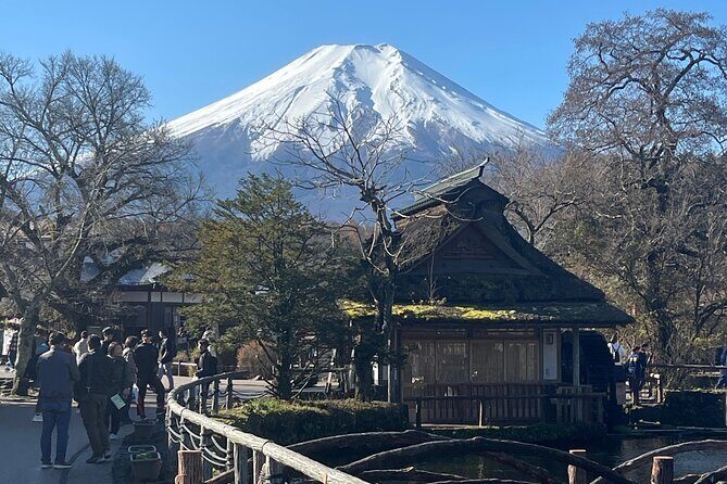 Mount Fuji Full Day Customize Private Tour with English Guide - Who Will Appreciate This Tour?