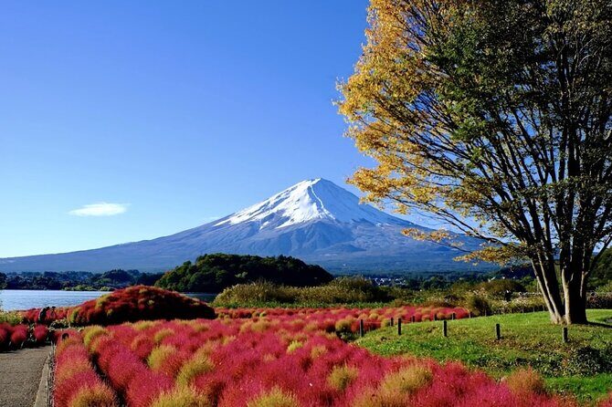 Mount Fuji Full Day Customized Private Tour with English Guide - An In-Depth Look at the Itinerary